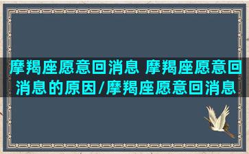 摩羯座愿意回消息 摩羯座愿意回消息的原因/摩羯座愿意回消息 摩羯座愿意回消息的原因-我的网站